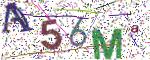 Фото Капча